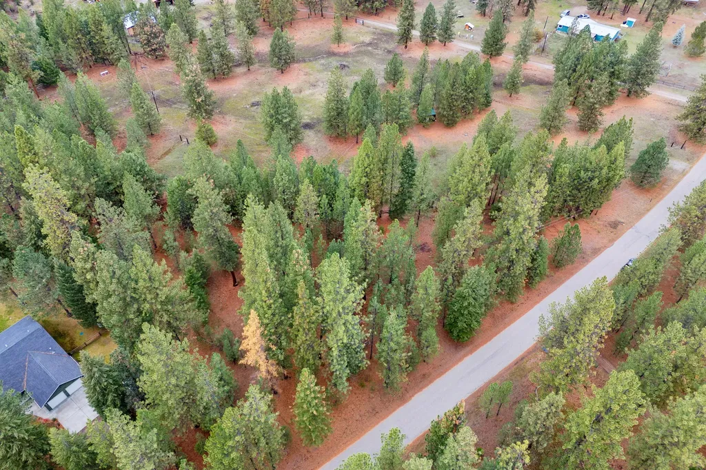 Nhn Swamp Creek Road Plains MT 59859