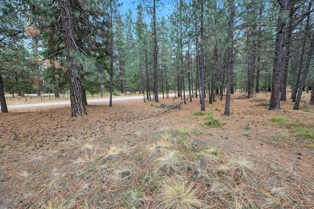 Nhn Swamp Creek Road Plains MT 59859