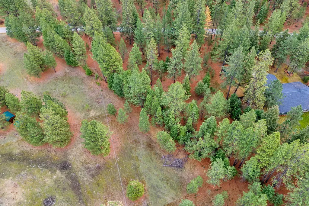 Nhn Swamp Creek Road Plains MT 59859