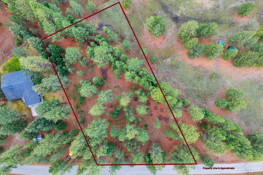Nhn Swamp Creek Road Plains MT 59859