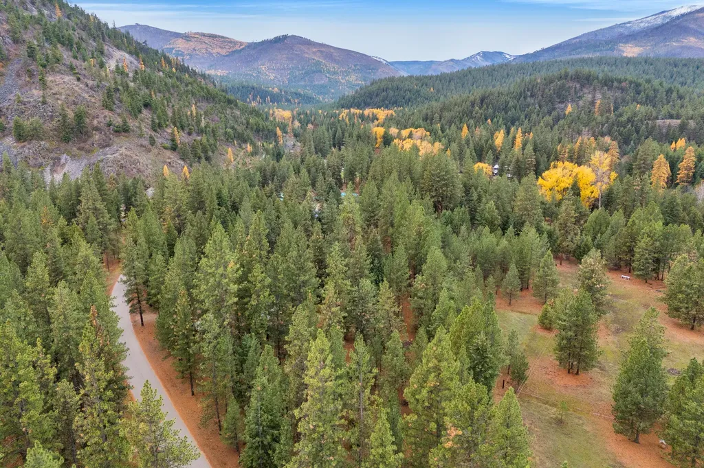 Nhn Swamp Creek Road Plains MT 59859