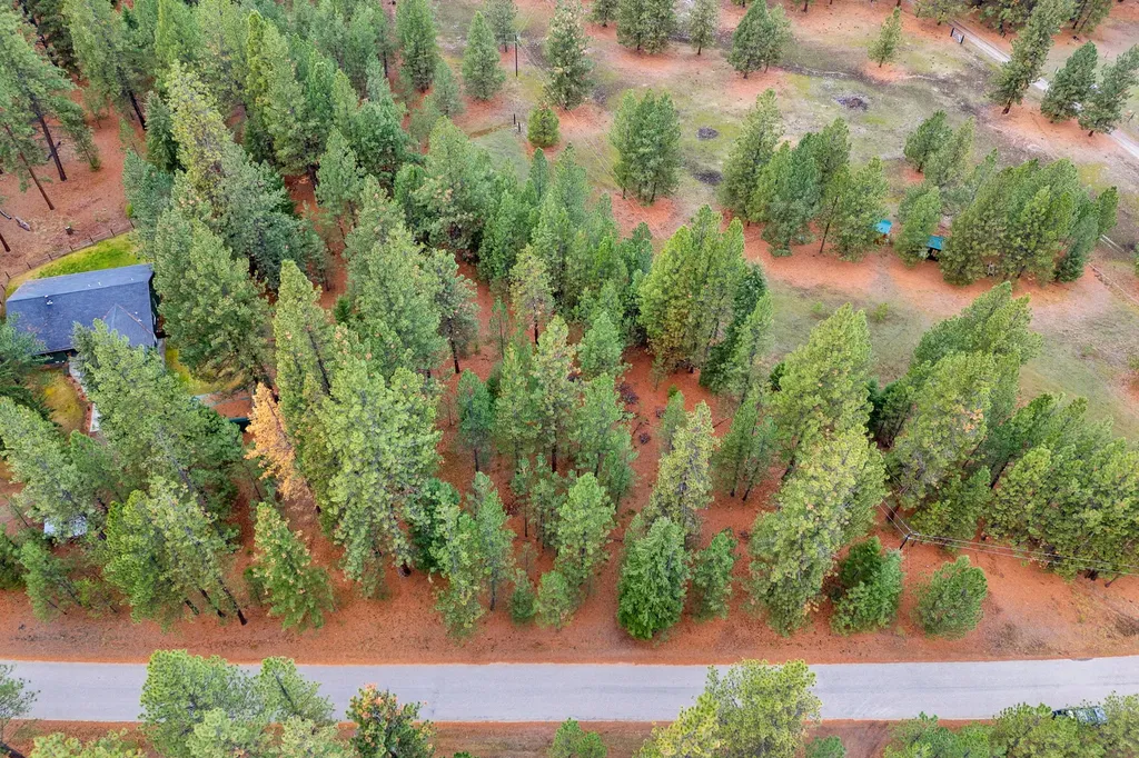 Nhn Swamp Creek Road Plains MT 59859