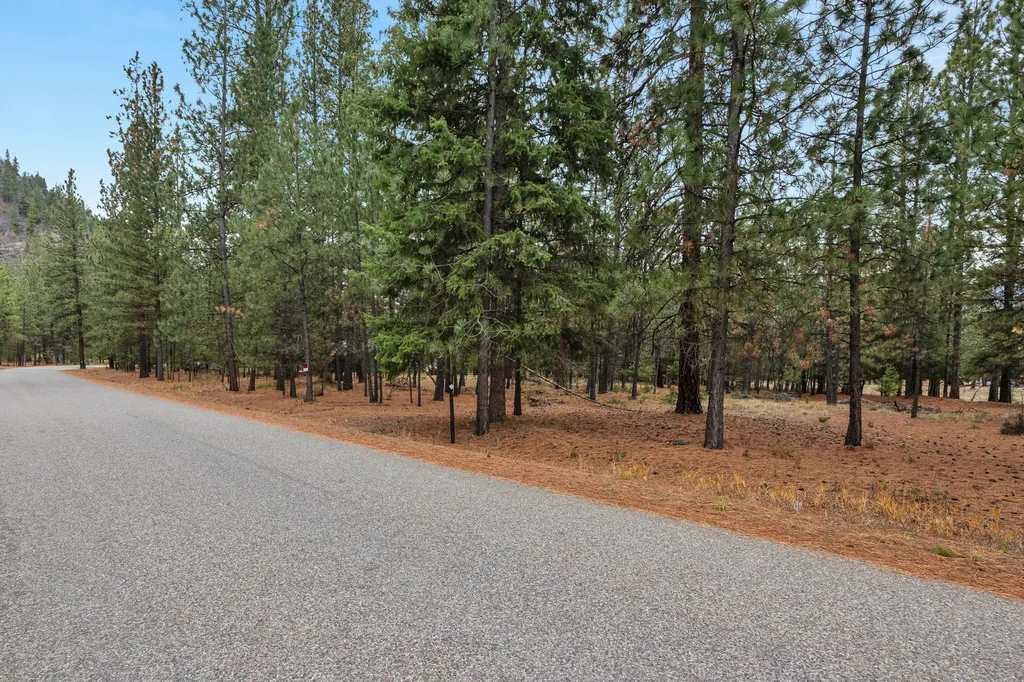Nhn Swamp Creek Road Plains MT 59859