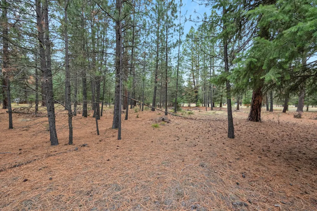 Nhn Swamp Creek Road Plains MT 59859
