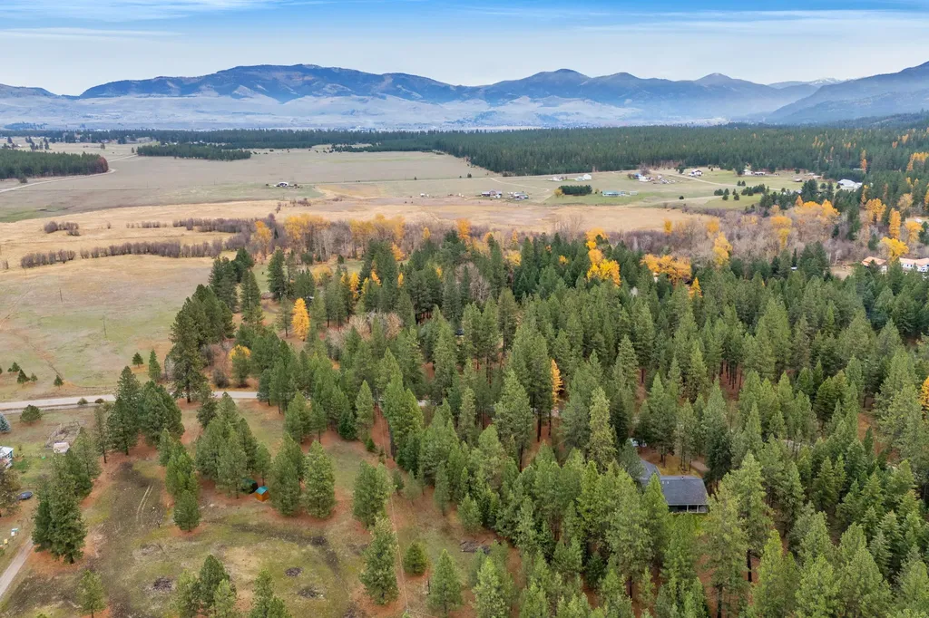 Nhn Swamp Creek Road Plains MT 59859