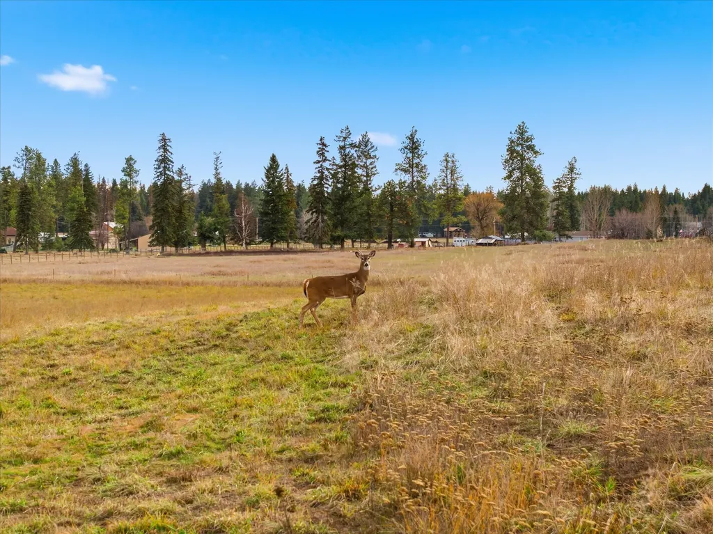 271 Patriots Lane Columbia Falls MT 59912