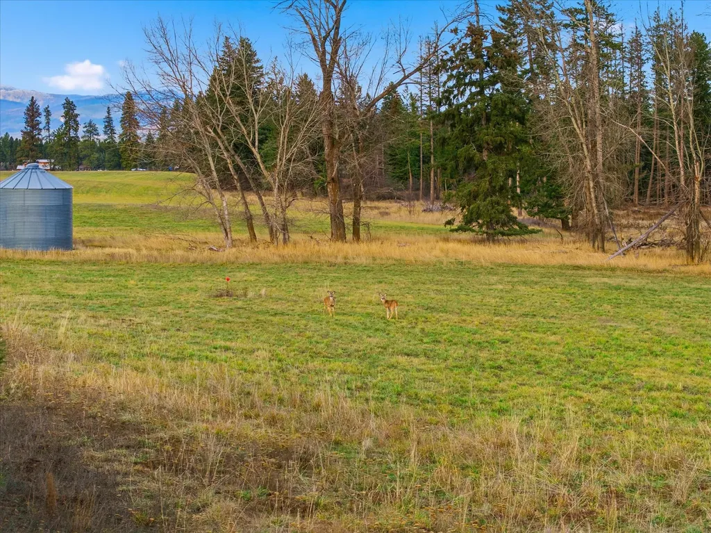 189 Patriots Lane Columbia Falls MT 59912
