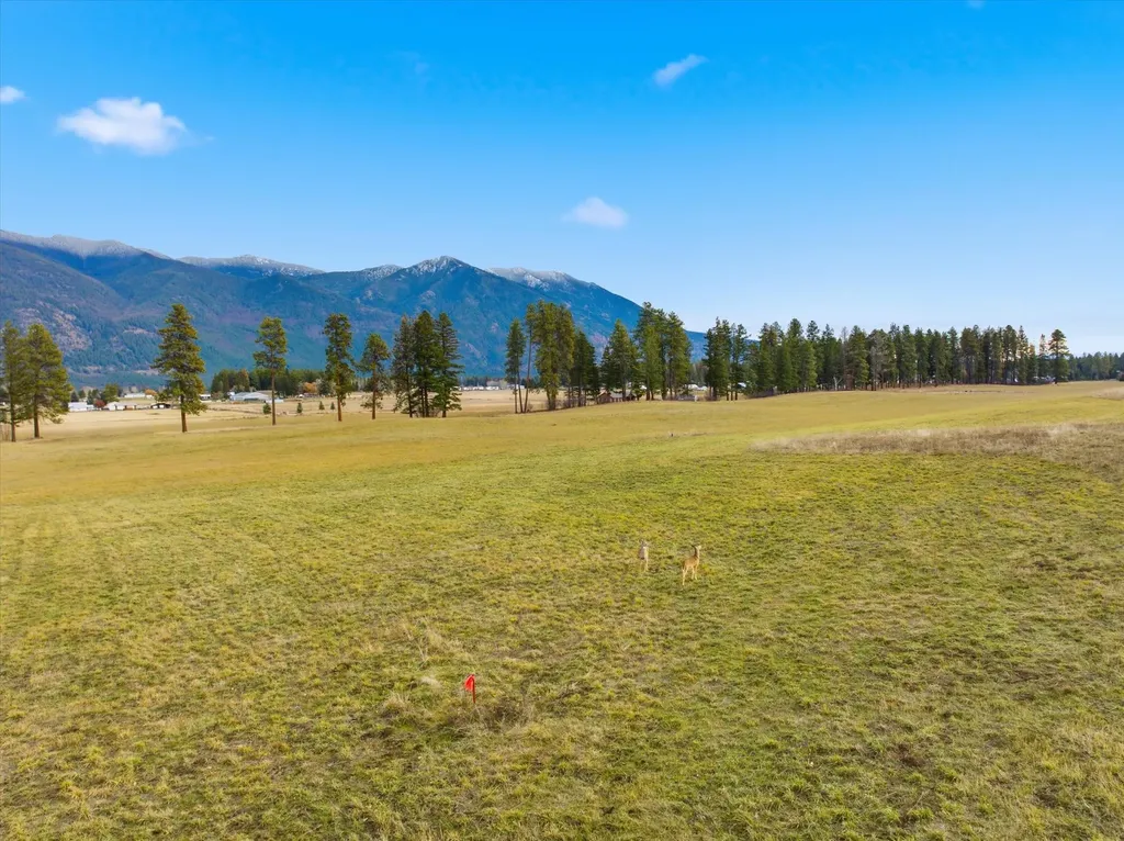 189 Patriots Lane Columbia Falls MT 59912