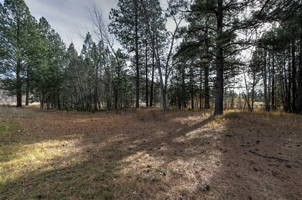 2377 Us Highway 93 S Hamilton MT 59840
