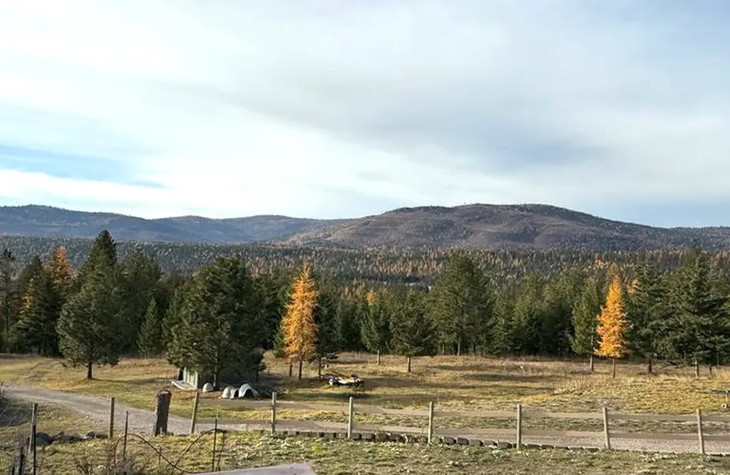 19649 Golden Pine Lane Proctor MT 59929
