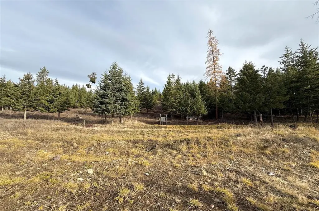 19649 Golden Pine Lane Proctor MT 59929