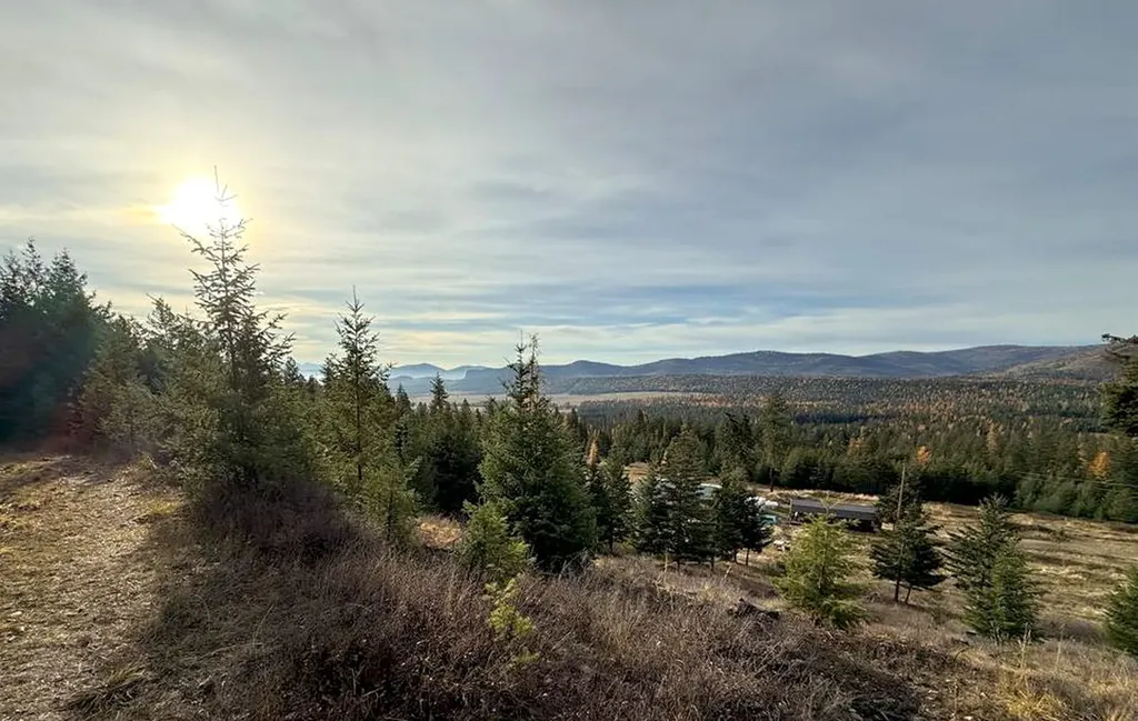 19649 Golden Pine Lane Proctor MT 59929
