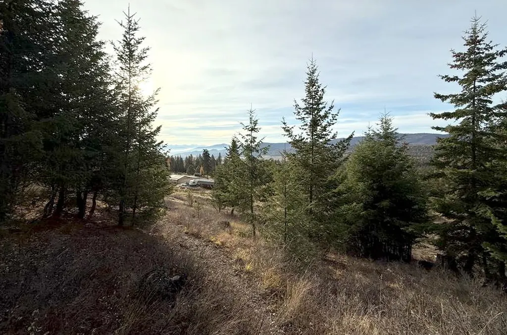 19649 Golden Pine Lane Proctor MT 59929