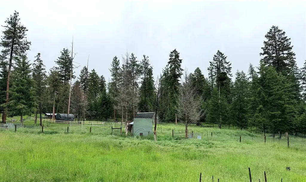 19649 Golden Pine Lane Proctor MT 59929