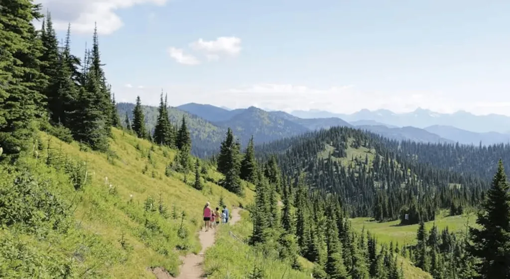 303 Wood Run Drive Whitefish MT 59937