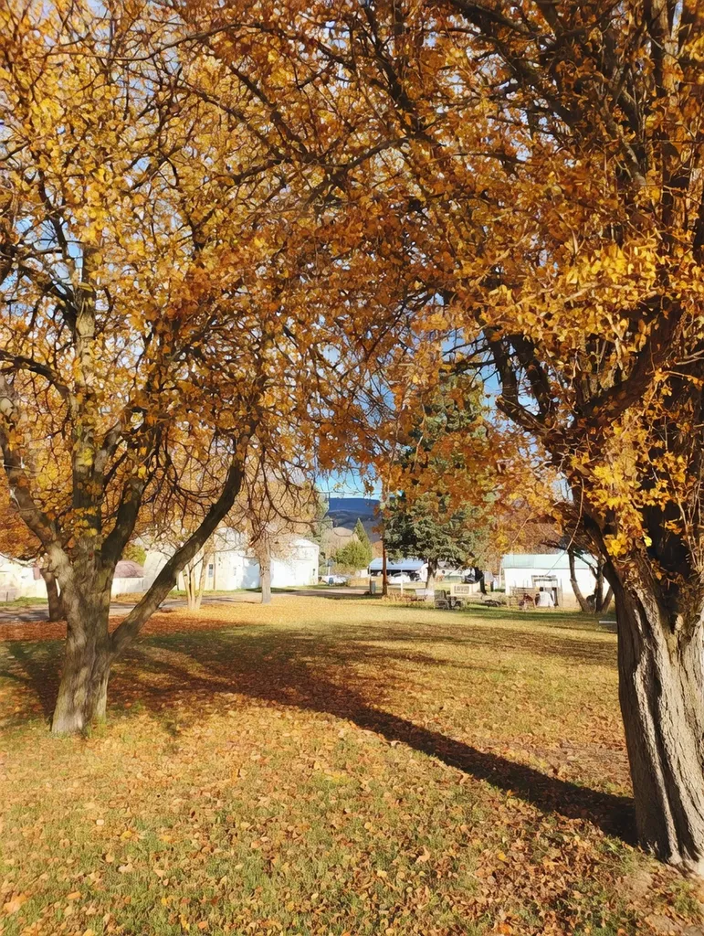 Nhn Third Street Plains MT 59859