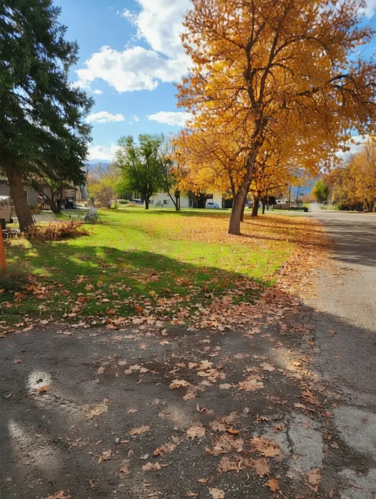 Nhn Third Street Plains MT 59859