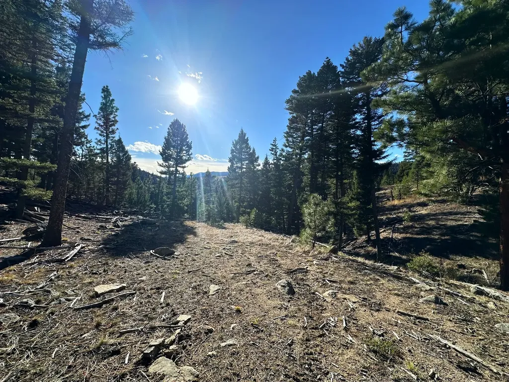 90 Travis Creek Road Clancy MT 59634