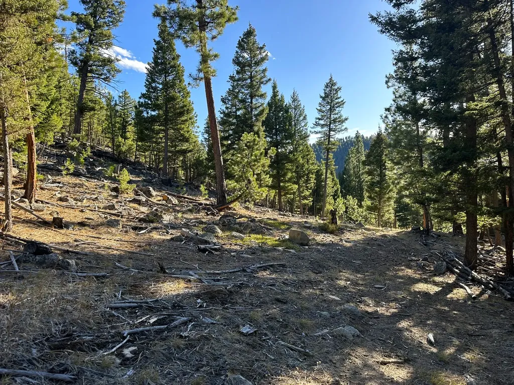90 Travis Creek Road Clancy MT 59634
