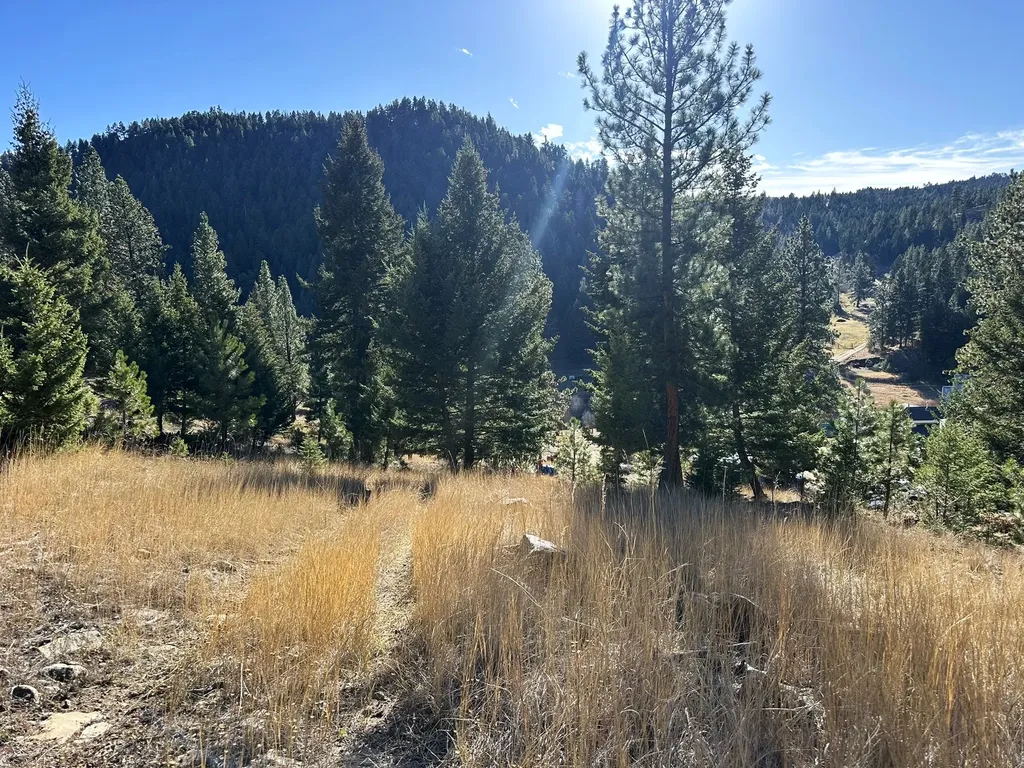 90 Travis Creek Road Clancy MT 59634