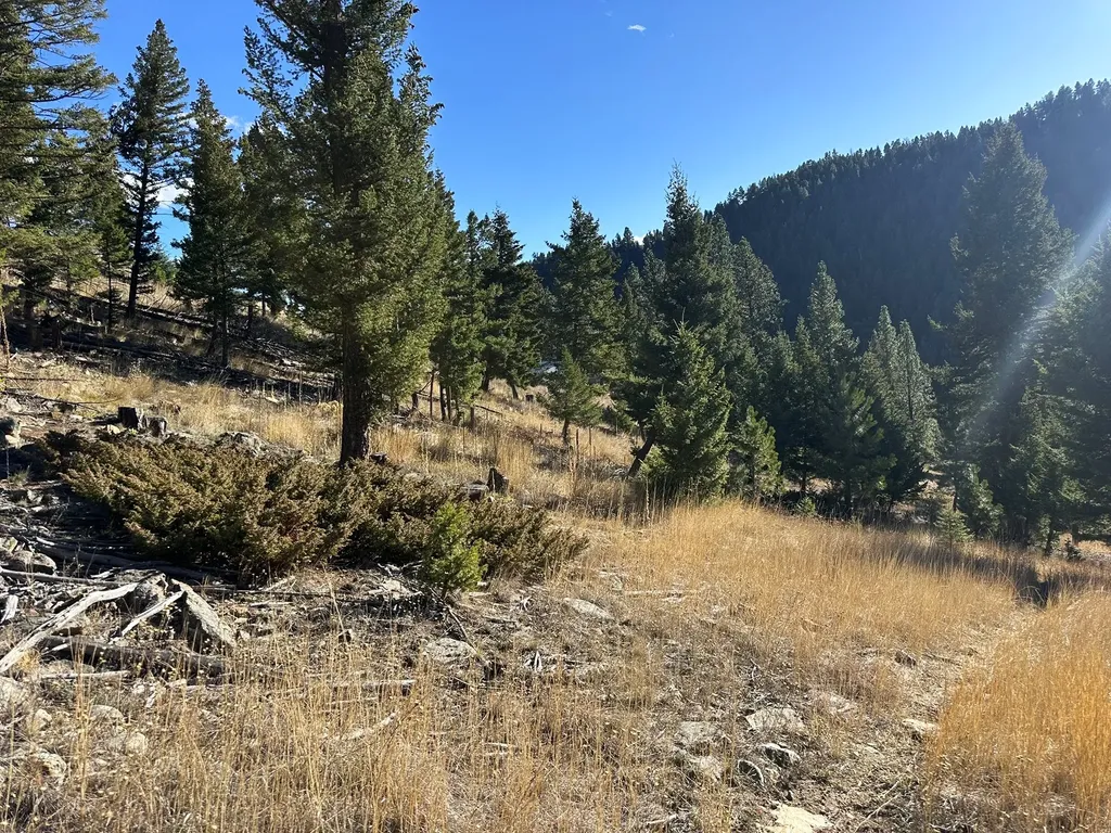 90 Travis Creek Road Clancy MT 59634