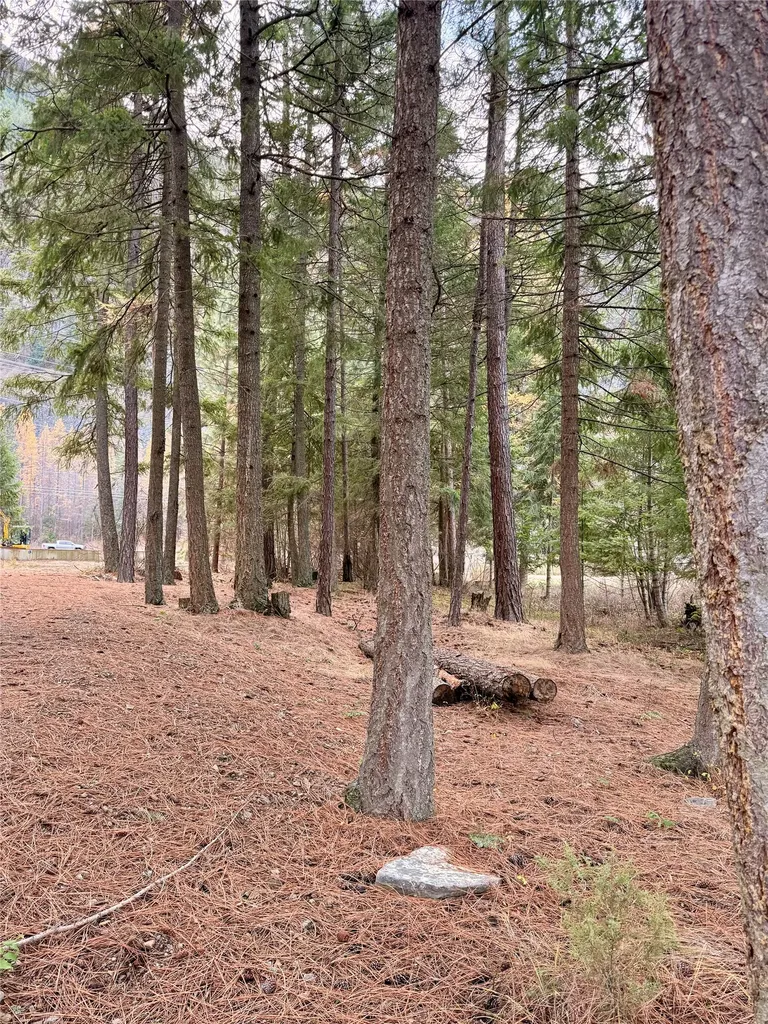 1750 W River Road Plains MT 59859