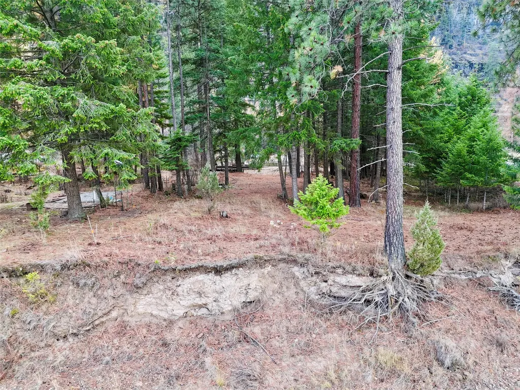1750 W River Road Plains MT 59859