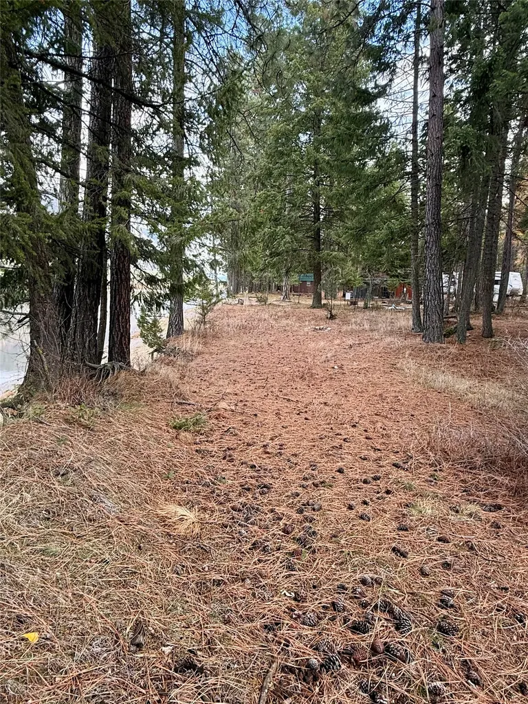 1750 W River Road Plains MT 59859