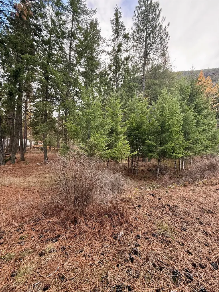 1750 W River Road Plains MT 59859