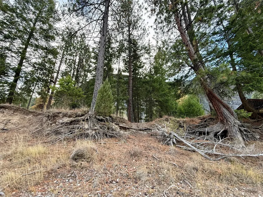 1750 W River Road Plains MT 59859