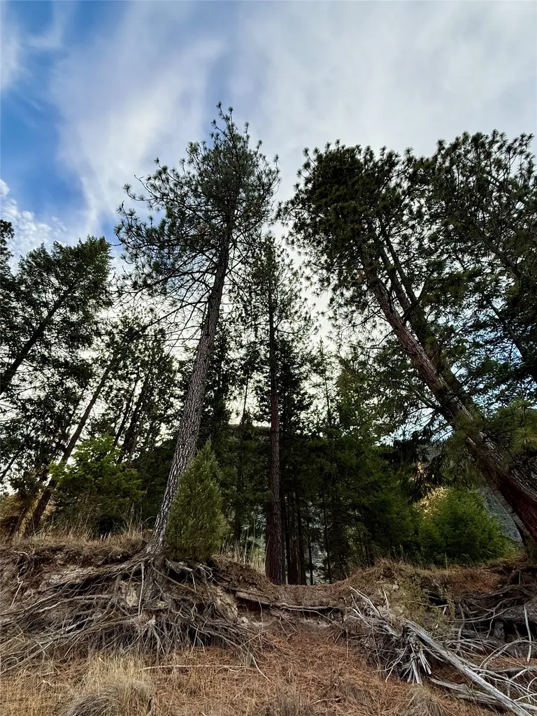 1750 W River Road Plains MT 59859