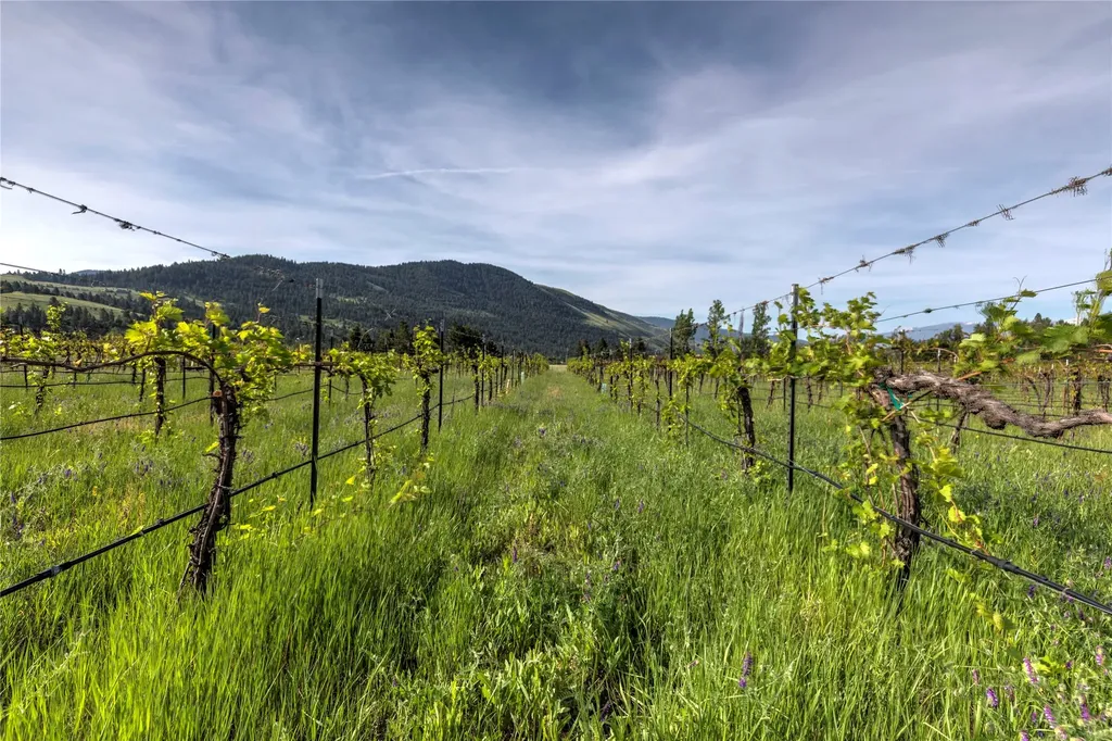 4175 Rattlesnake Drive Missoula MT 59802