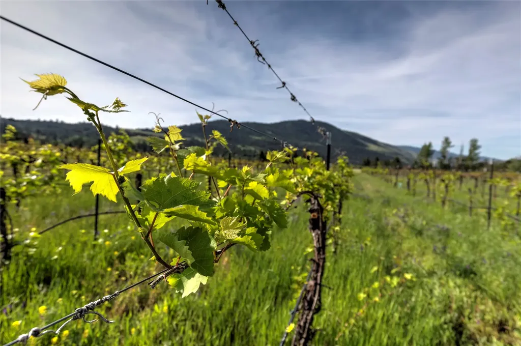 4175 Rattlesnake Drive Missoula MT 59802