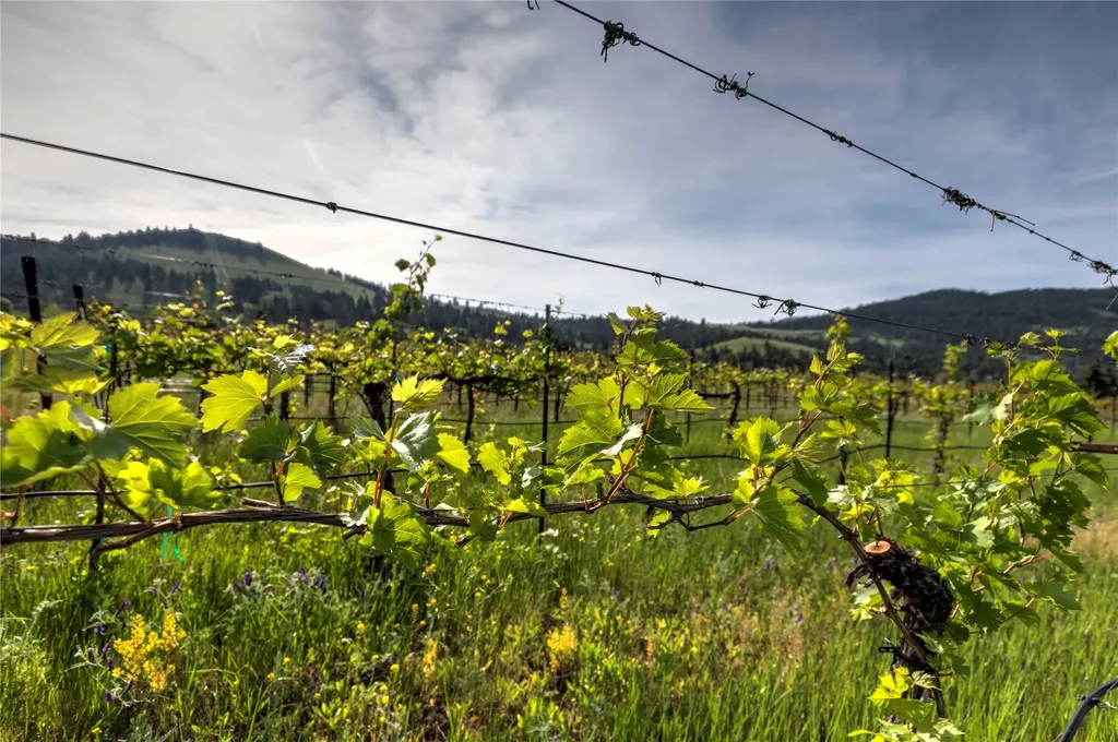 4175 Rattlesnake Drive Missoula MT 59802