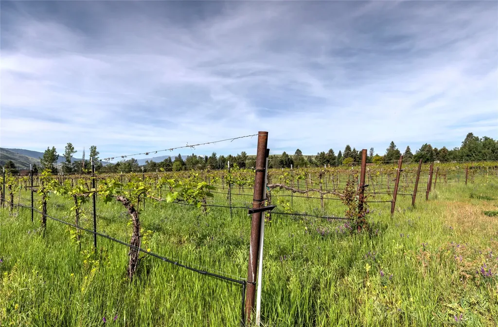 4175 Rattlesnake Drive Missoula MT 59802