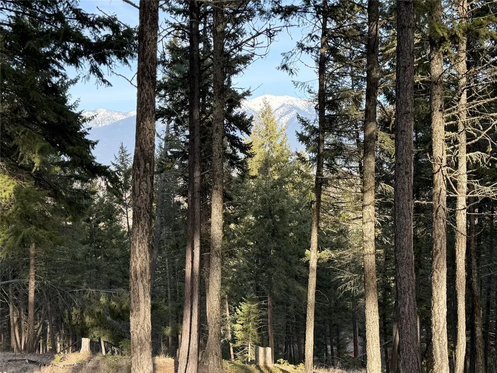 Nhn Hillandale Trail Eureka MT 59917
