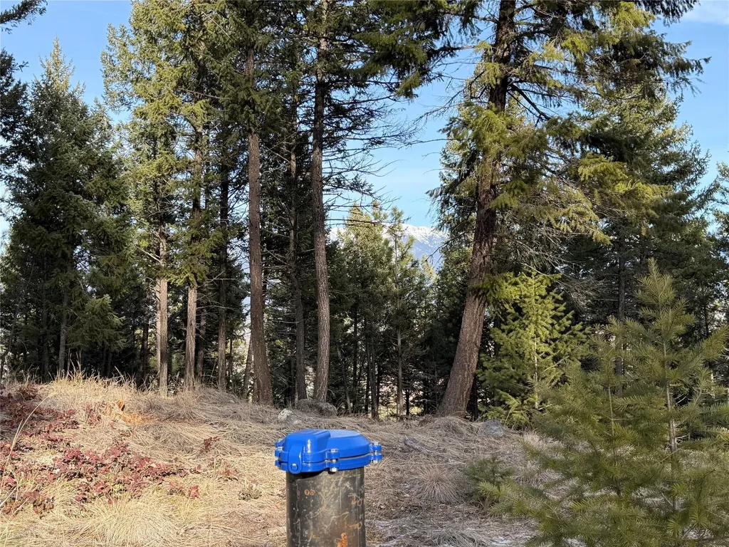 Nhn Hillandale Trail Eureka MT 59917