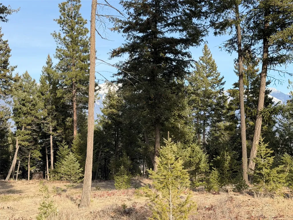 Nhn Hillandale Trail Eureka MT 59917
