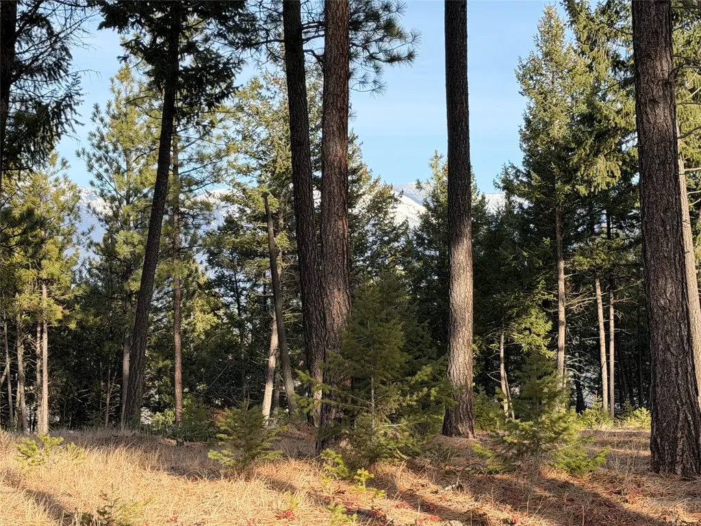 Nhn Hillandale Trail Eureka MT 59917
