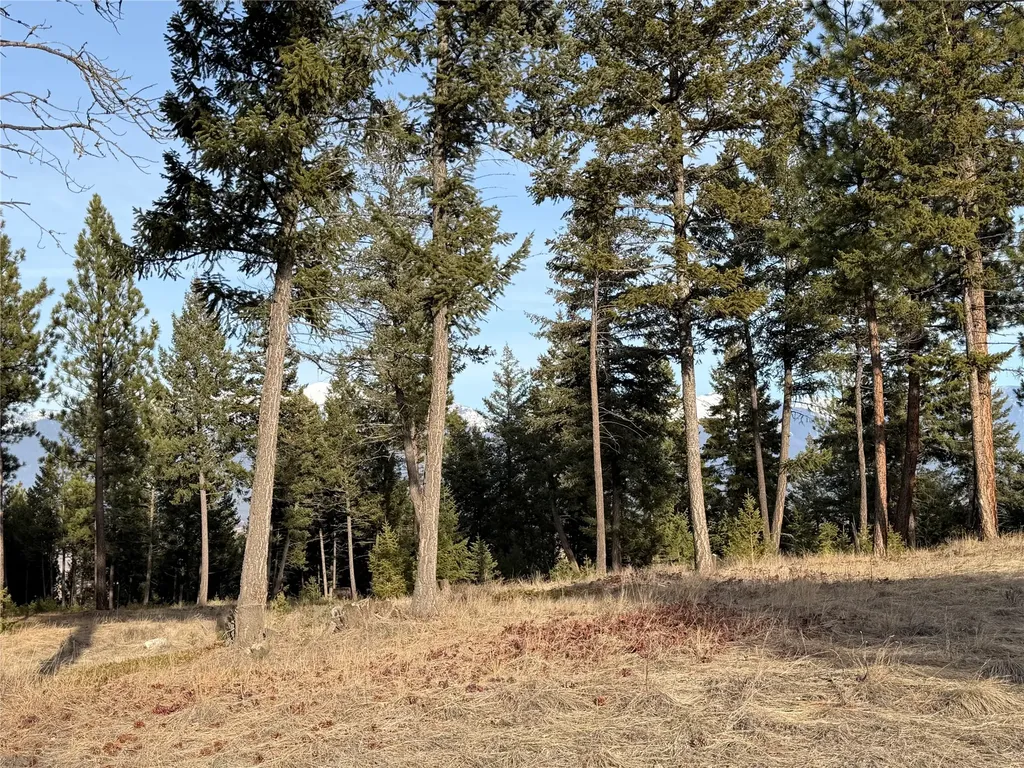 Nhn Hillandale Trail Eureka MT 59917