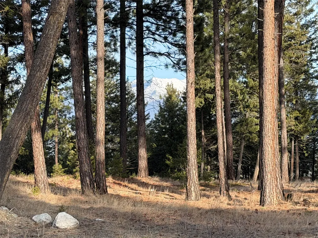 Nhn Hillandale Trail Eureka MT 59917