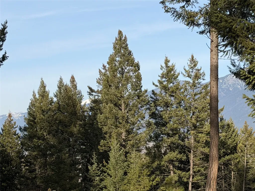Nhn Hillandale Trail Eureka MT 59917
