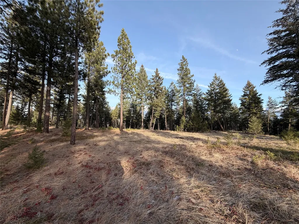 Nhn Hillandale Trail Eureka MT 59917