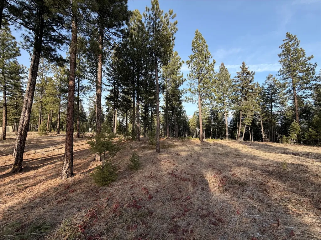 Nhn Hillandale Trail Eureka MT 59917