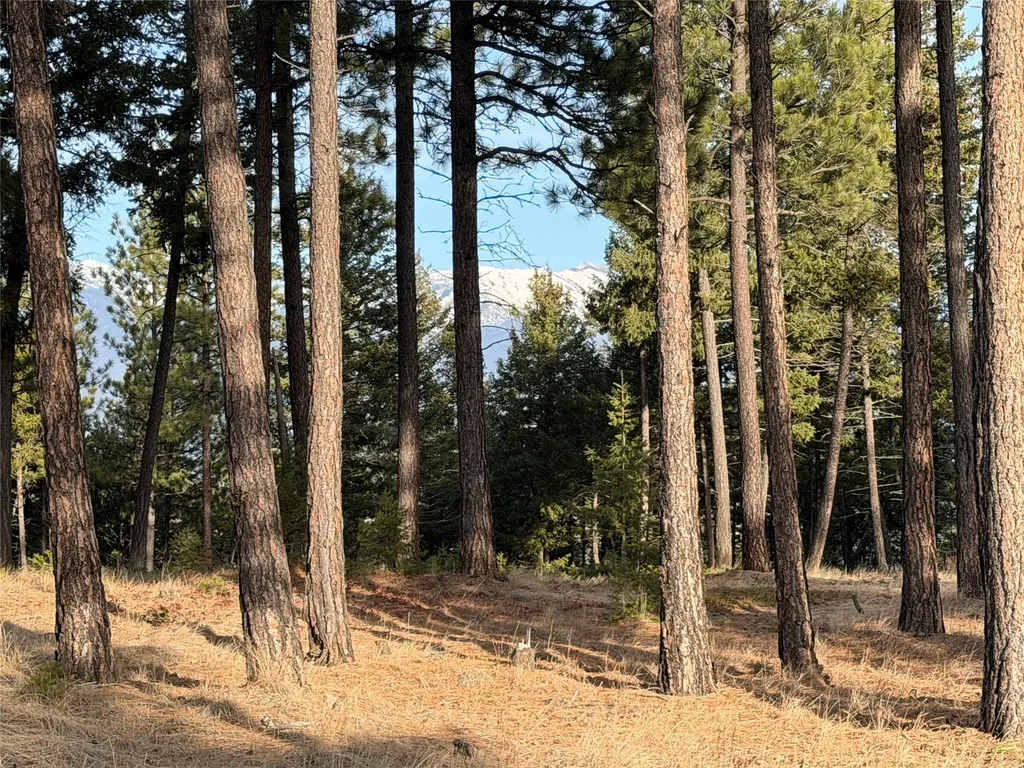 Nhn Hillandale Trail Eureka MT 59917