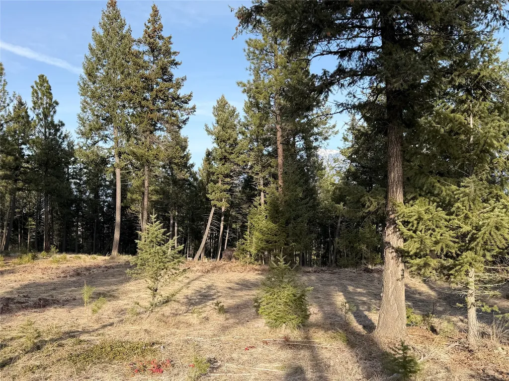 Nhn Hillandale Trail Eureka MT 59917