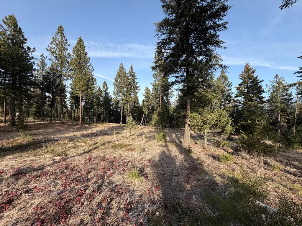 Nhn Hillandale Trail Eureka MT 59917
