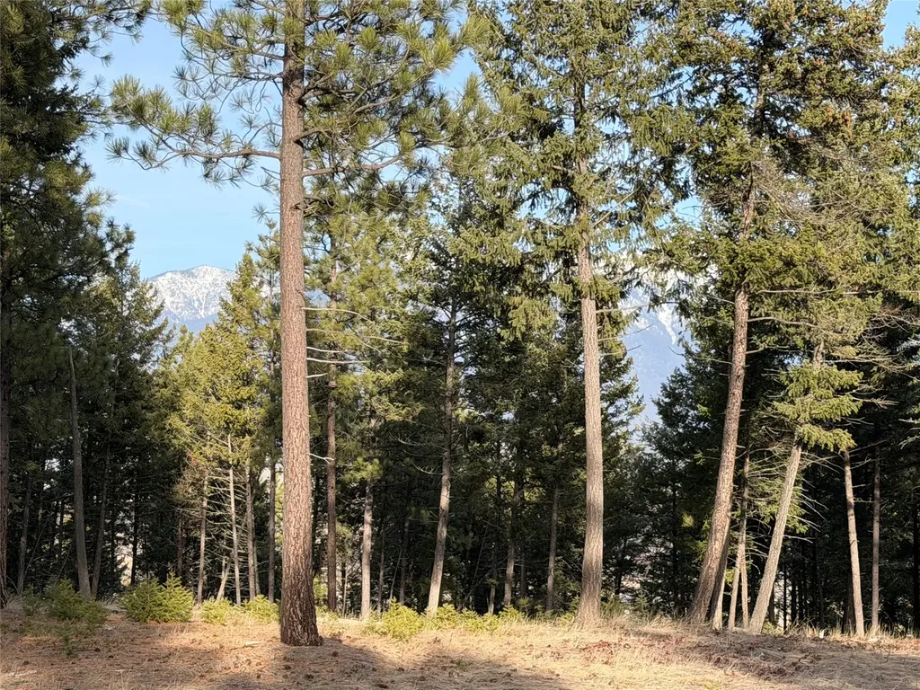 Nhn Hillandale Trail Eureka MT 59917