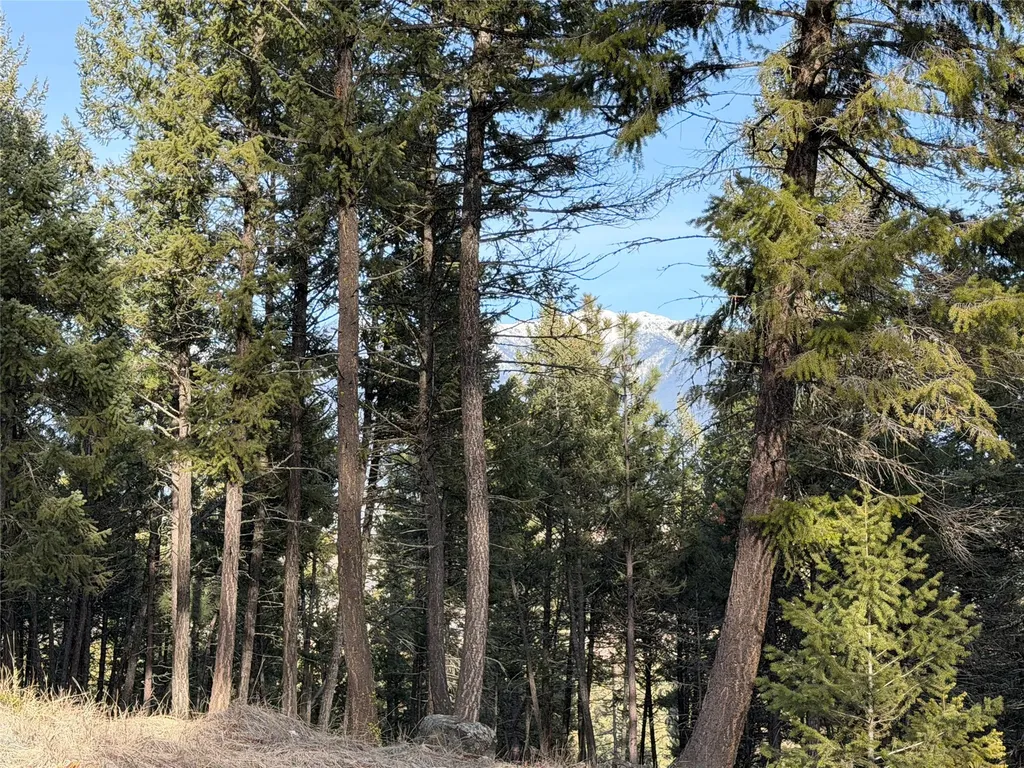 Nhn Hillandale Trail Eureka MT 59917
