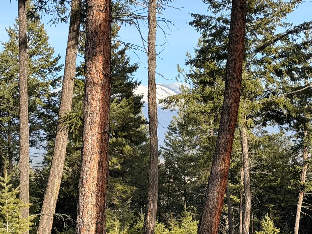 Nhn Hillandale Trail Eureka MT 59917